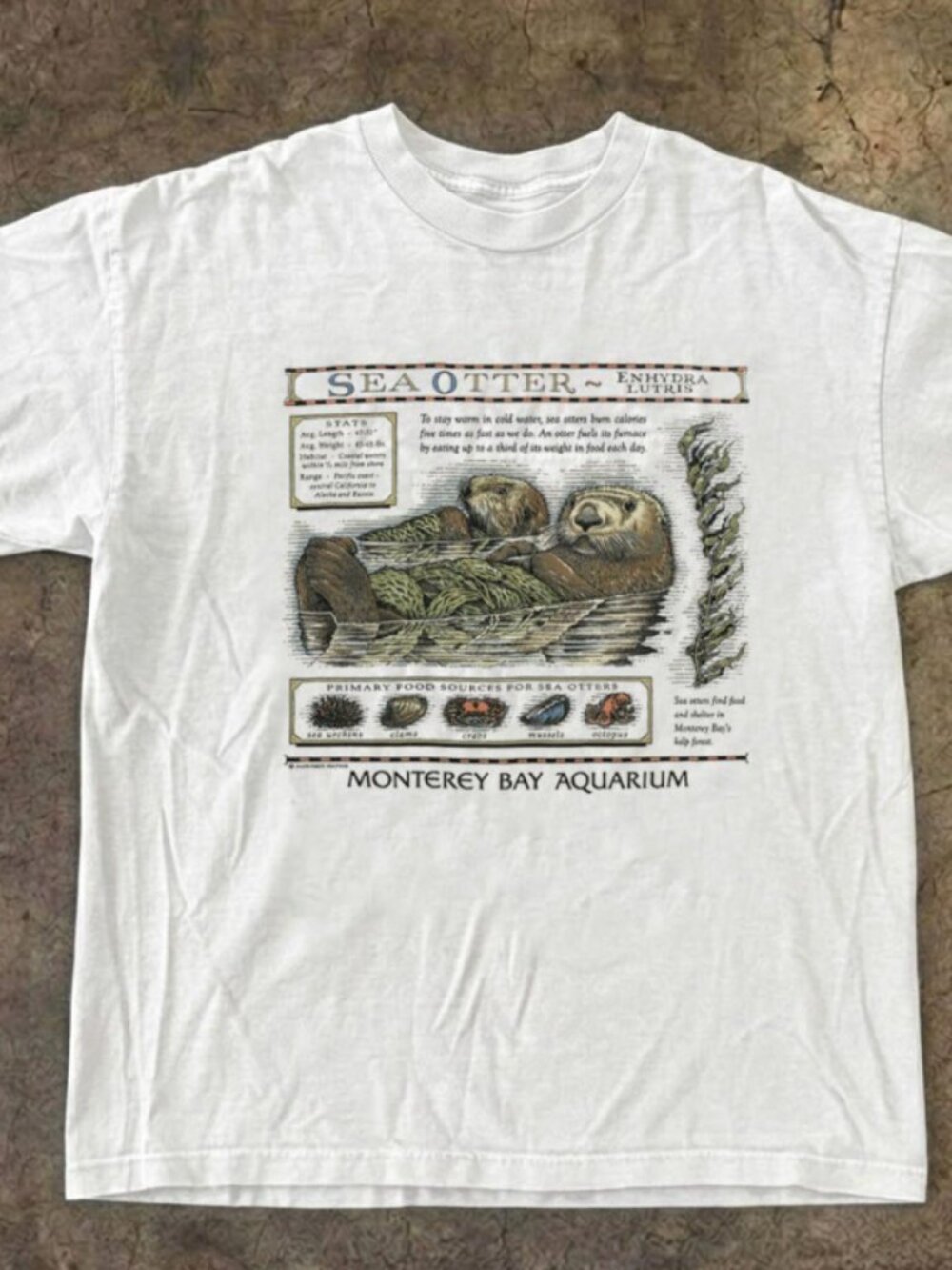 Monterey Bay Aquarium Sea Otter Chart Graphic White Reprint Tee